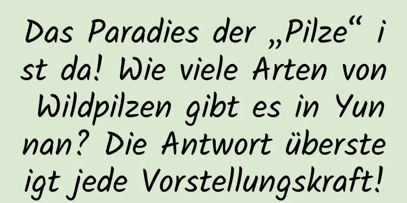 Das Paradies der „Pilze“ ist da! Wie viele Arten von Wildpilzen gibt es in Yunnan? Die Antwort übersteigt jede Vorstellungskraft!