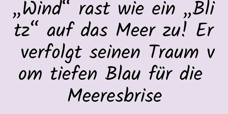 „Wind“ rast wie ein „Blitz“ auf das Meer zu! Er verfolgt seinen Traum vom tiefen Blau für die Meeresbrise