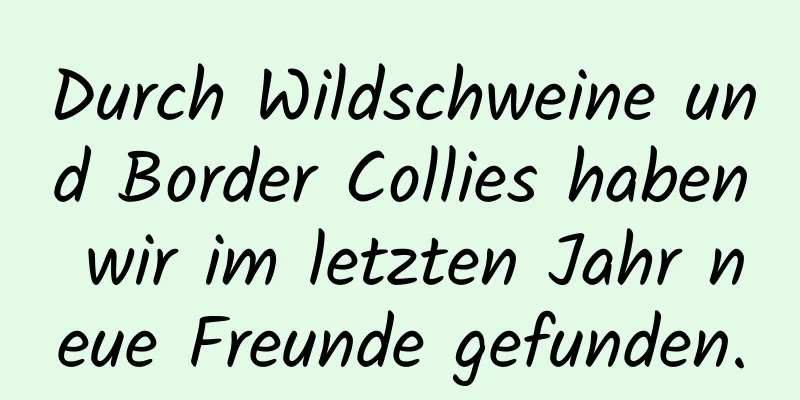 Durch Wildschweine und Border Collies haben wir im letzten Jahr neue Freunde gefunden.