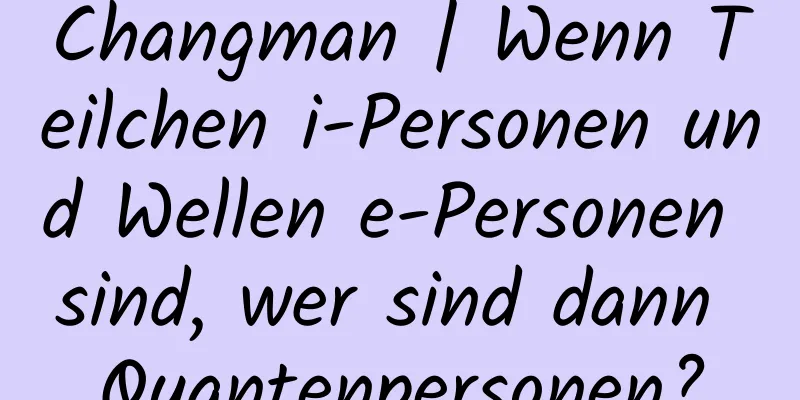 Changman | Wenn Teilchen i-Personen und Wellen e-Personen sind, wer sind dann Quantenpersonen?