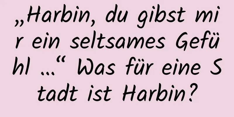 „Harbin, du gibst mir ein seltsames Gefühl …“ Was für eine Stadt ist Harbin?
