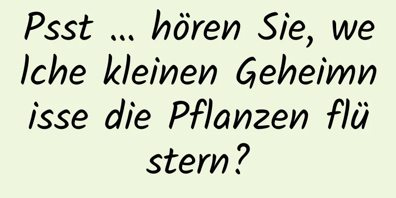 Psst … hören Sie, welche kleinen Geheimnisse die Pflanzen flüstern?
