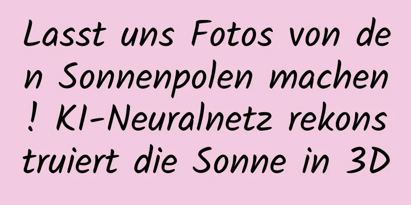 Lasst uns Fotos von den Sonnenpolen machen! KI-Neuralnetz rekonstruiert die Sonne in 3D