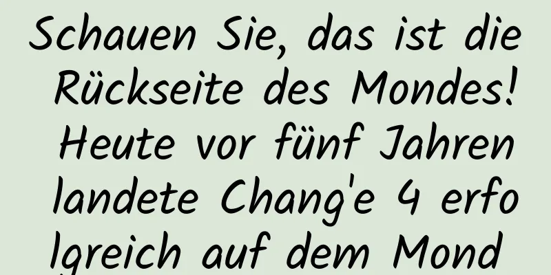Schauen Sie, das ist die Rückseite des Mondes! Heute vor fünf Jahren landete Chang'e 4 erfolgreich auf dem Mond