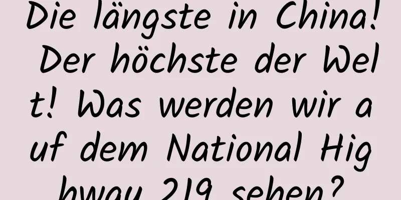 Die längste in China! Der höchste der Welt! Was werden wir auf dem National Highway 219 sehen?