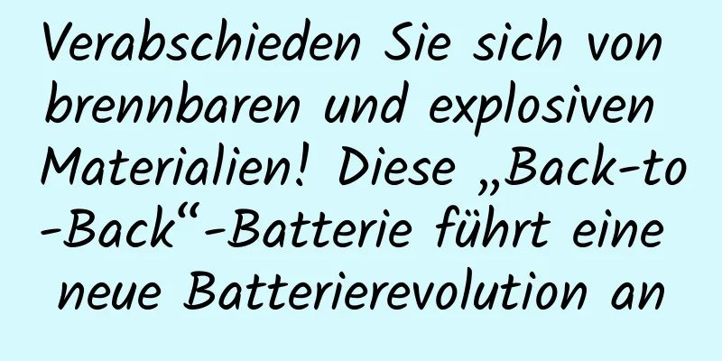 Verabschieden Sie sich von brennbaren und explosiven Materialien! Diese „Back-to-Back“-Batterie führt eine neue Batterierevolution an