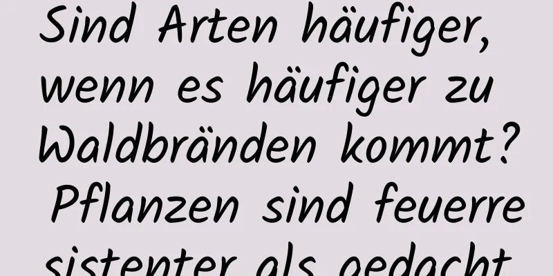 Sind Arten häufiger, wenn es häufiger zu Waldbränden kommt? Pflanzen sind feuerresistenter als gedacht