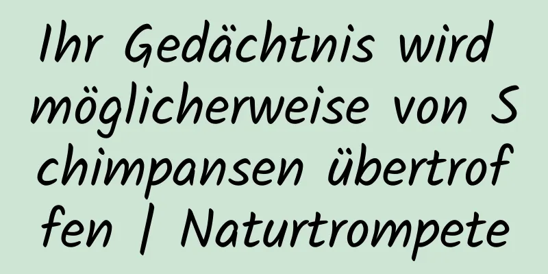 Ihr Gedächtnis wird möglicherweise von Schimpansen übertroffen | Naturtrompete