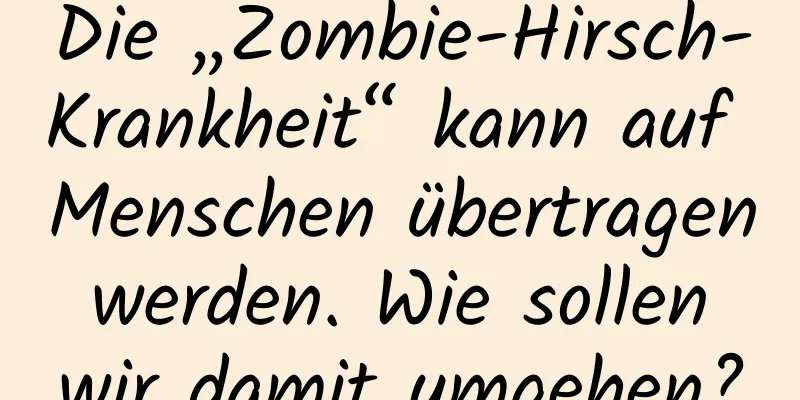 Die „Zombie-Hirsch-Krankheit“ kann auf Menschen übertragen werden. Wie sollen wir damit umgehen?