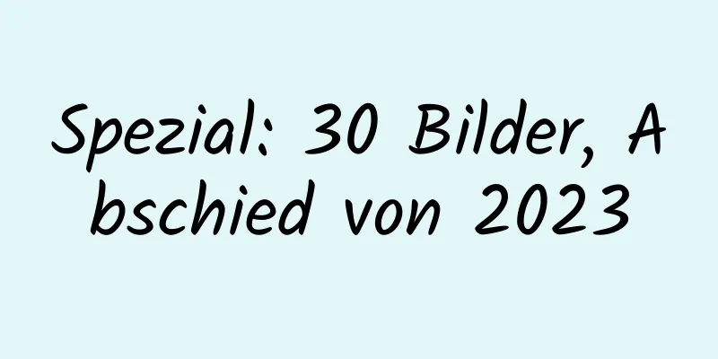 Spezial: 30 Bilder, Abschied von 2023