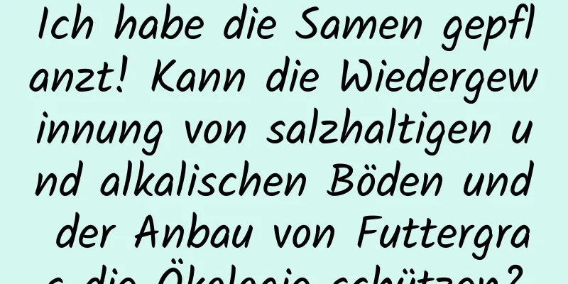 Ich habe die Samen gepflanzt! Kann die Wiedergewinnung von salzhaltigen und alkalischen Böden und der Anbau von Futtergras die Ökologie schützen?