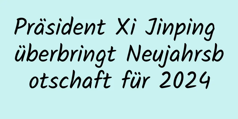 Präsident Xi Jinping überbringt Neujahrsbotschaft für 2024