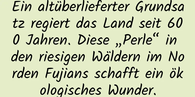 Ein altüberlieferter Grundsatz regiert das Land seit 600 Jahren. Diese „Perle“ in den riesigen Wäldern im Norden Fujians schafft ein ökologisches Wunder.