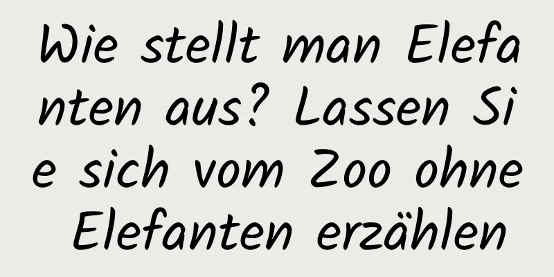 Wie stellt man Elefanten aus? Lassen Sie sich vom Zoo ohne Elefanten erzählen