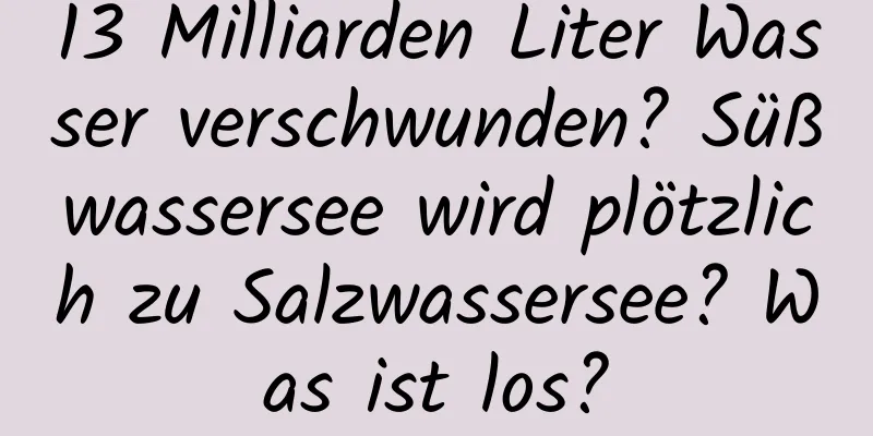 13 Milliarden Liter Wasser verschwunden? Süßwassersee wird plötzlich zu Salzwassersee? Was ist los?