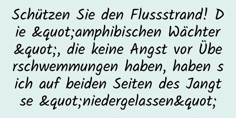 Schützen Sie den Flussstrand! Die "amphibischen Wächter", die keine Angst vor Überschwemmungen haben, haben sich auf beiden Seiten des Jangtse "niedergelassen"