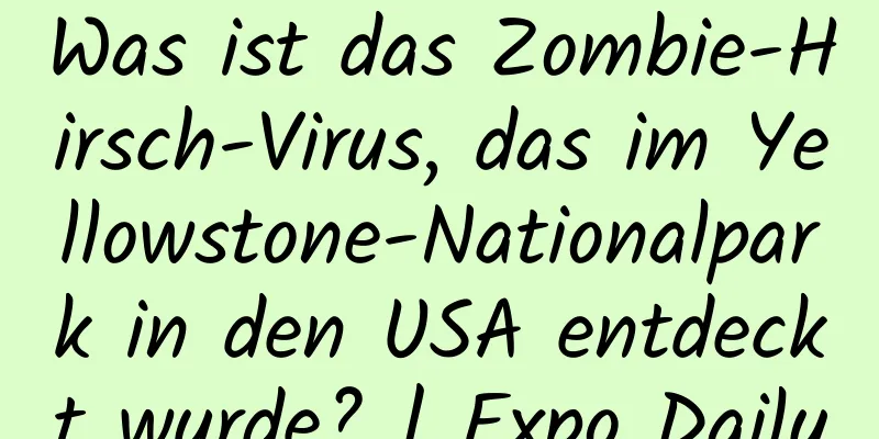 Was ist das Zombie-Hirsch-Virus, das im Yellowstone-Nationalpark in den USA entdeckt wurde? | Expo Daily