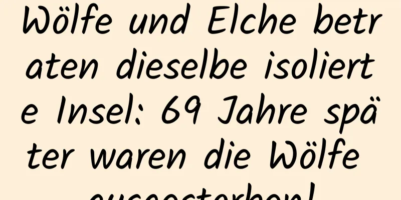 Wölfe und Elche betraten dieselbe isolierte Insel: 69 Jahre später waren die Wölfe ausgestorben!