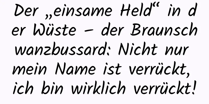 Der „einsame Held“ in der Wüste – der Braunschwanzbussard: Nicht nur mein Name ist verrückt, ich bin wirklich verrückt!