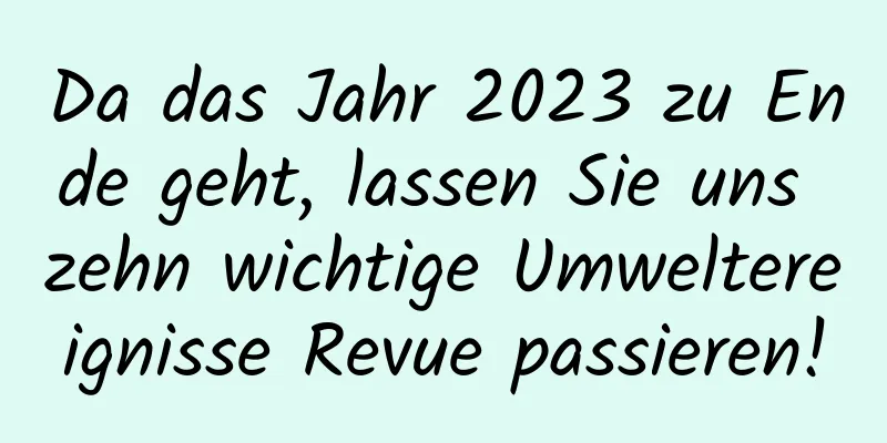 Da das Jahr 2023 zu Ende geht, lassen Sie uns zehn wichtige Umweltereignisse Revue passieren!
