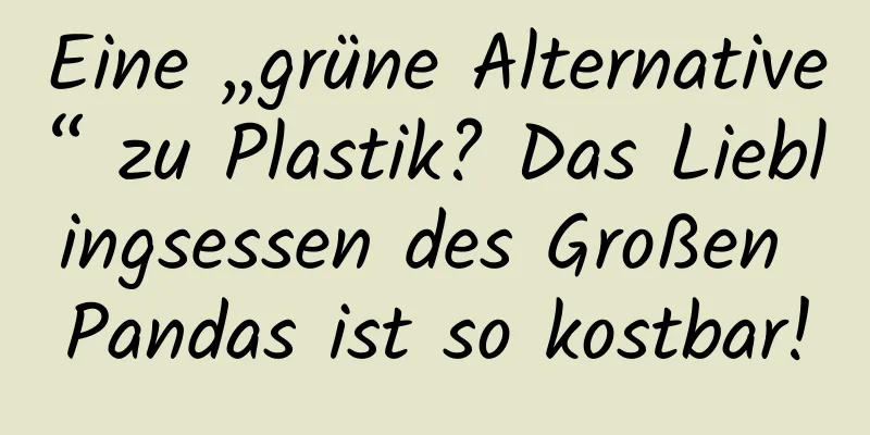 Eine „grüne Alternative“ zu Plastik? Das Lieblingsessen des Großen Pandas ist so kostbar!