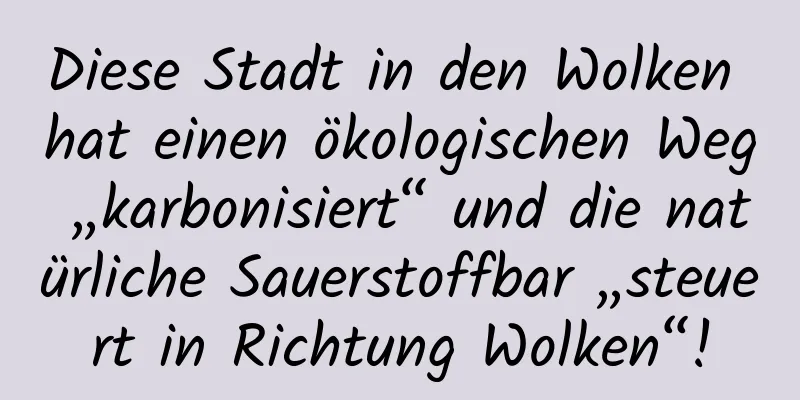 Diese Stadt in den Wolken hat einen ökologischen Weg „karbonisiert“ und die natürliche Sauerstoffbar „steuert in Richtung Wolken“!