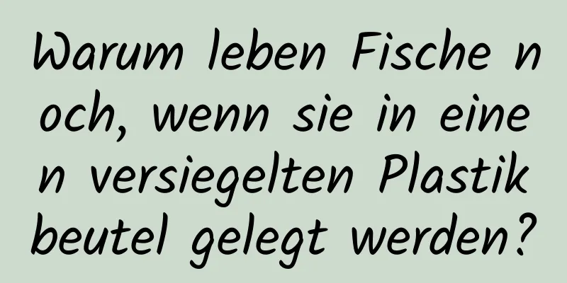 Warum leben Fische noch, wenn sie in einen versiegelten Plastikbeutel gelegt werden?