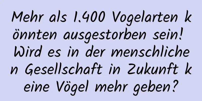 Mehr als 1.400 Vogelarten könnten ausgestorben sein! Wird es in der menschlichen Gesellschaft in Zukunft keine Vögel mehr geben?
