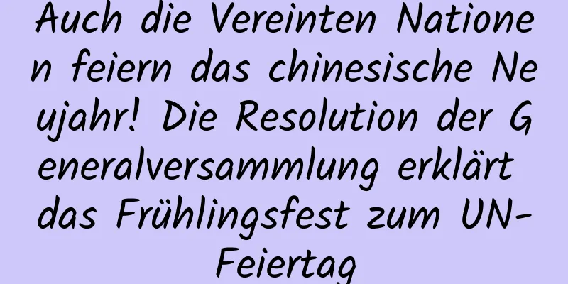 Auch die Vereinten Nationen feiern das chinesische Neujahr! Die Resolution der Generalversammlung erklärt das Frühlingsfest zum UN-Feiertag