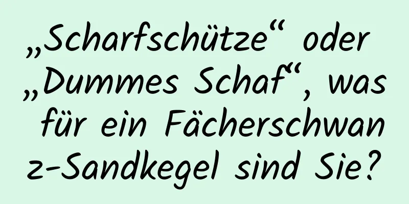 „Scharfschütze“ oder „Dummes Schaf“, was für ein Fächerschwanz-Sandkegel sind Sie?