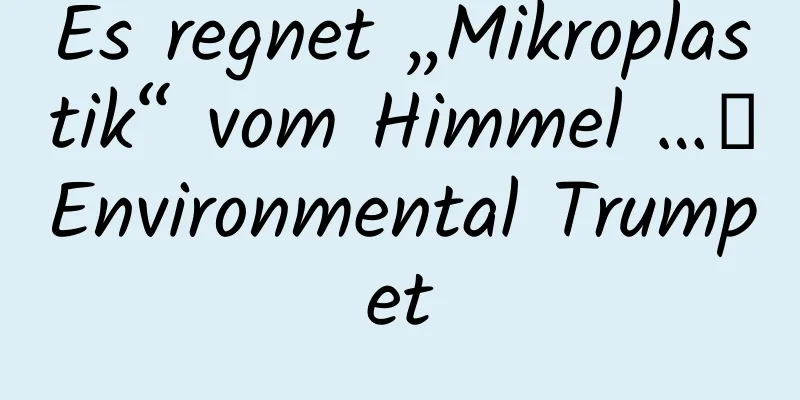Es regnet „Mikroplastik“ vom Himmel …｜Environmental Trumpet
