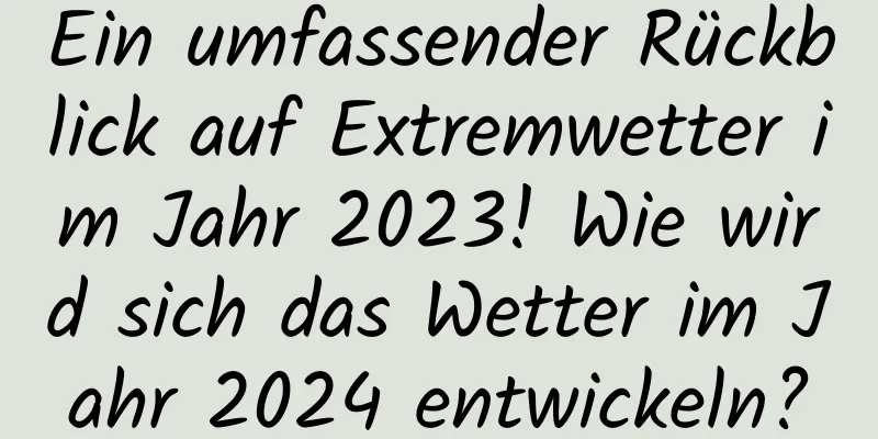 Ein umfassender Rückblick auf Extremwetter im Jahr 2023! Wie wird sich das Wetter im Jahr 2024 entwickeln?