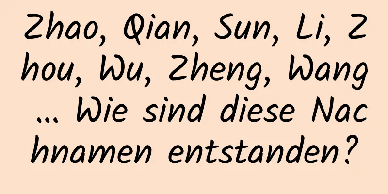 Zhao, Qian, Sun, Li, Zhou, Wu, Zheng, Wang … Wie sind diese Nachnamen entstanden?