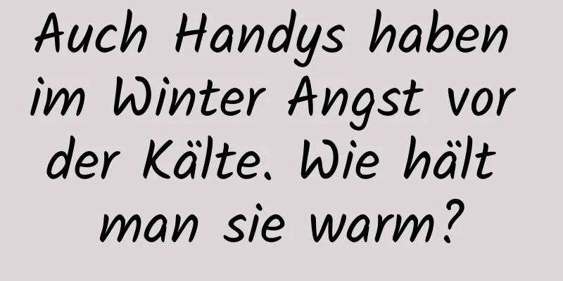 Auch Handys haben im Winter Angst vor der Kälte. Wie hält man sie warm?