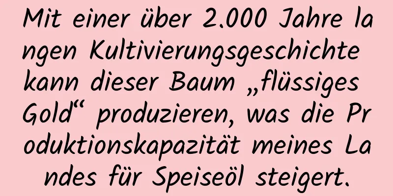 Mit einer über 2.000 Jahre langen Kultivierungsgeschichte kann dieser Baum „flüssiges Gold“ produzieren, was die Produktionskapazität meines Landes für Speiseöl steigert.