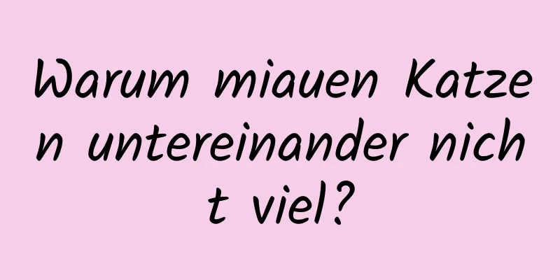 Warum miauen Katzen untereinander nicht viel?