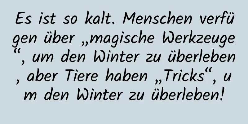 Es ist so kalt. Menschen verfügen über „magische Werkzeuge“, um den Winter zu überleben, aber Tiere haben „Tricks“, um den Winter zu überleben!