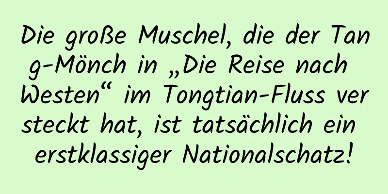 Die große Muschel, die der Tang-Mönch in „Die Reise nach Westen“ im Tongtian-Fluss versteckt hat, ist tatsächlich ein erstklassiger Nationalschatz!
