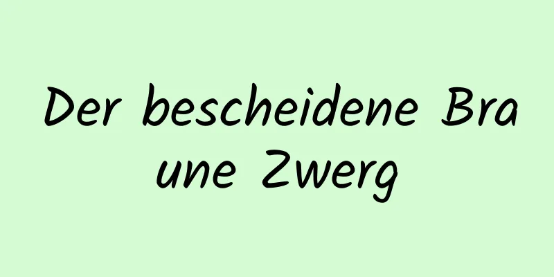 Der bescheidene Braune Zwerg