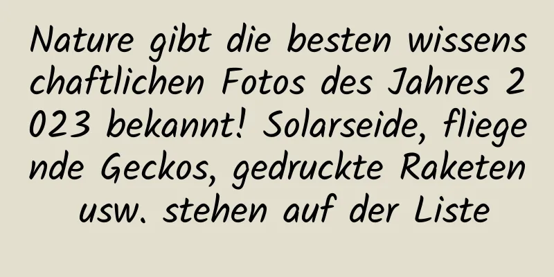 Nature gibt die besten wissenschaftlichen Fotos des Jahres 2023 bekannt! Solarseide, fliegende Geckos, gedruckte Raketen usw. stehen auf der Liste