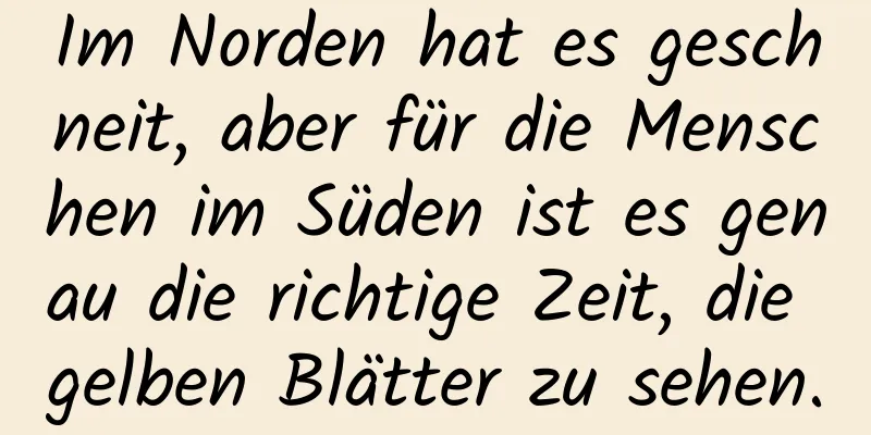Im Norden hat es geschneit, aber für die Menschen im Süden ist es genau die richtige Zeit, die gelben Blätter zu sehen.