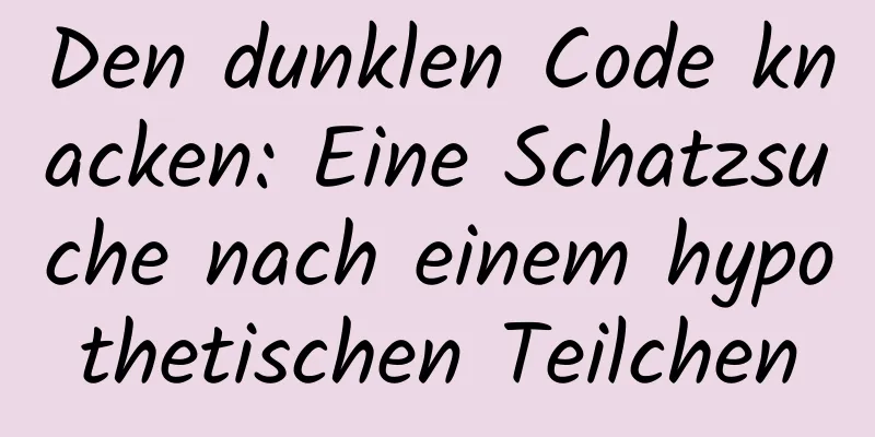 Den dunklen Code knacken: Eine Schatzsuche nach einem hypothetischen Teilchen