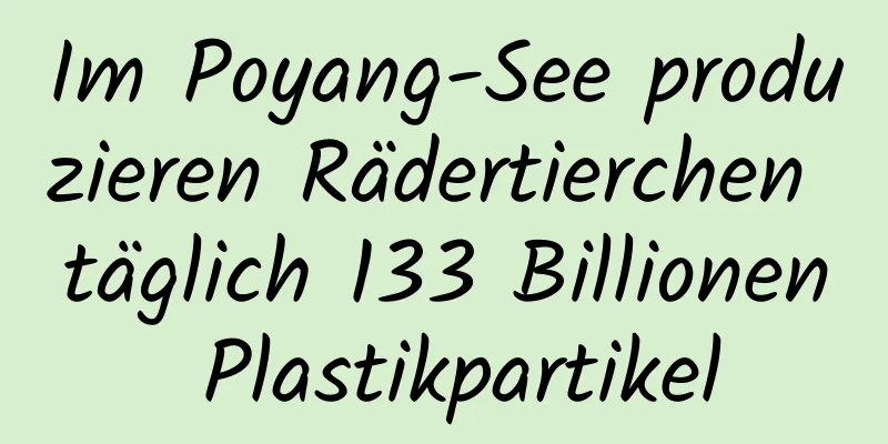 Im Poyang-See produzieren Rädertierchen täglich 133 Billionen Plastikpartikel