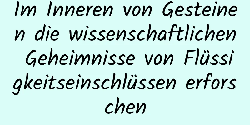 Im Inneren von Gesteinen die wissenschaftlichen Geheimnisse von Flüssigkeitseinschlüssen erforschen