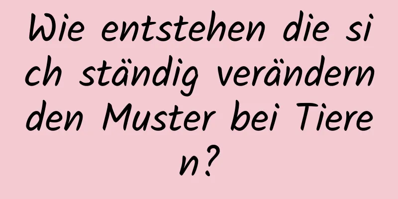 Wie entstehen die sich ständig verändernden Muster bei Tieren?