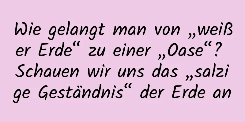 Wie gelangt man von „weißer Erde“ zu einer „Oase“? Schauen wir uns das „salzige Geständnis“ der Erde an