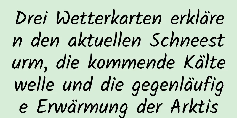 Drei Wetterkarten erklären den aktuellen Schneesturm, die kommende Kältewelle und die gegenläufige Erwärmung der Arktis
