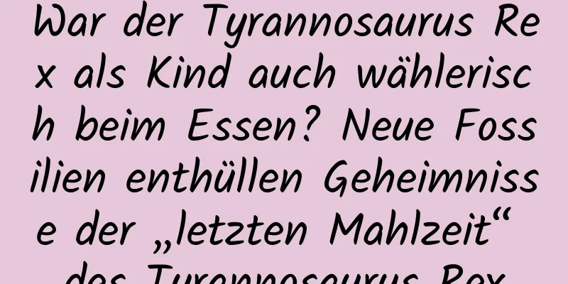 War der Tyrannosaurus Rex als Kind auch wählerisch beim Essen? Neue Fossilien enthüllen Geheimnisse der „letzten Mahlzeit“ des Tyrannosaurus Rex