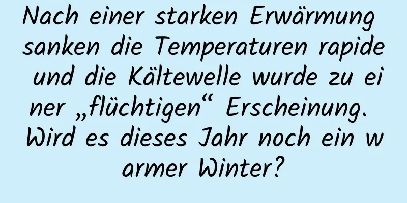 Nach einer starken Erwärmung sanken die Temperaturen rapide und die Kältewelle wurde zu einer „flüchtigen“ Erscheinung. Wird es dieses Jahr noch ein warmer Winter?