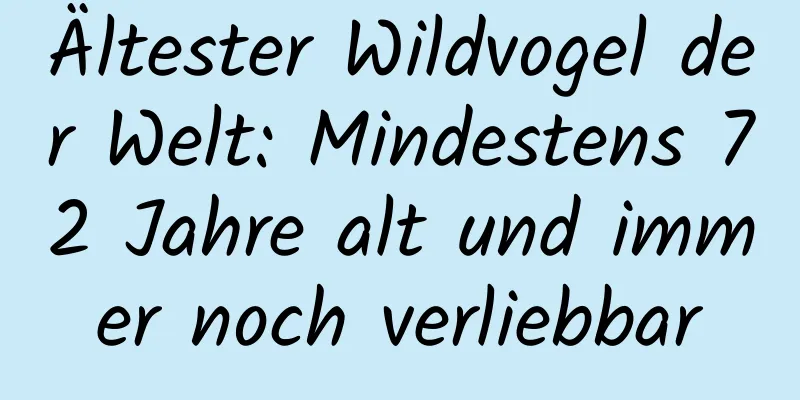 Ältester Wildvogel der Welt: Mindestens 72 Jahre alt und immer noch verliebbar